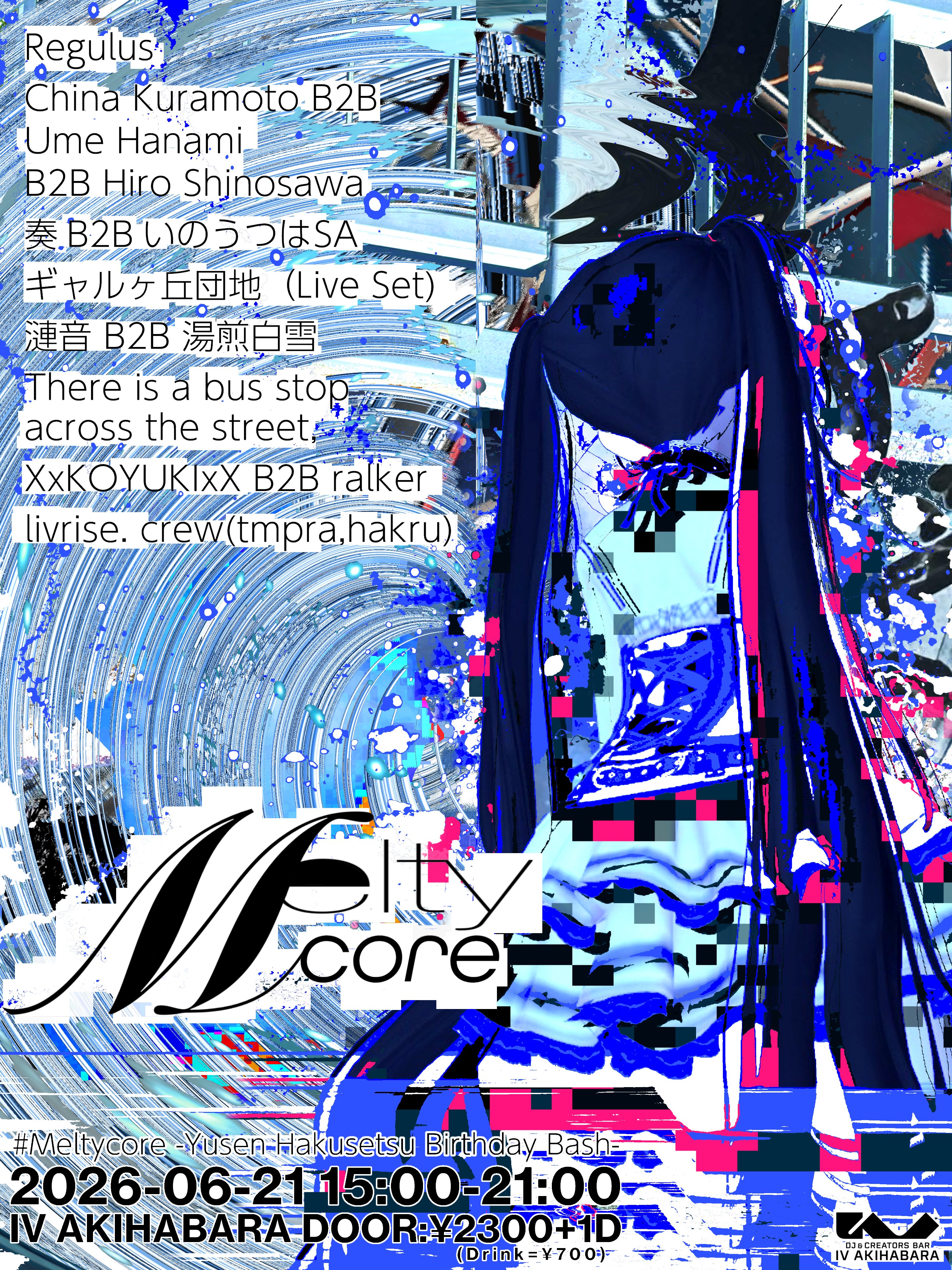 Meltycoreのフライヤー